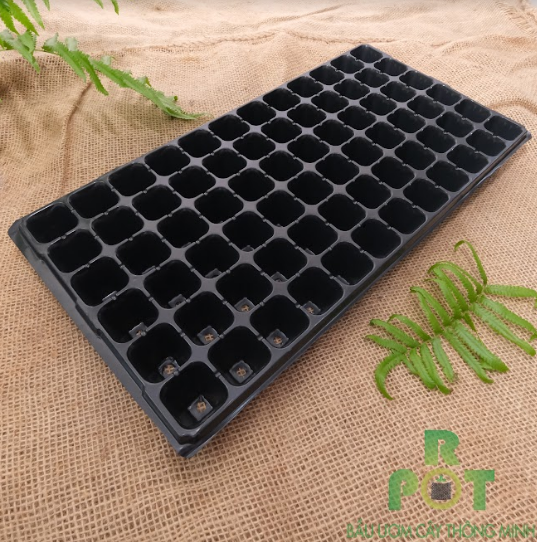 Khay Ươm Hạt Giống 72 Lỗ