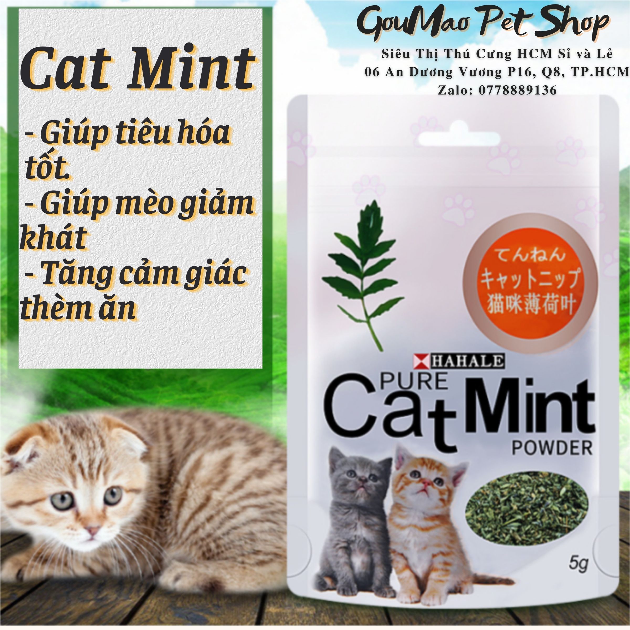 [HCM]Cat Mint / Cattrip / cỏ dành cho mèo