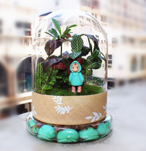 Bình Terrarium - Bình tiểu cảnh