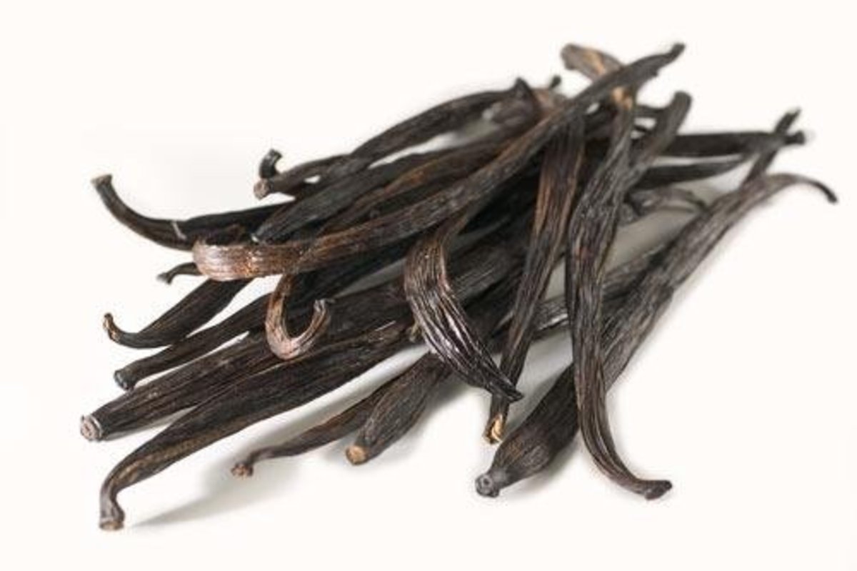 Hương mùi ( tinh chất ) vani hiệu Molina Vanilla Extract 250ml