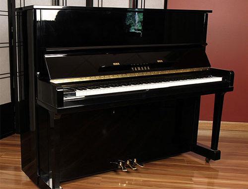 Bộ Đĩa Chén 4 Cái Kê Chống Cho Piano