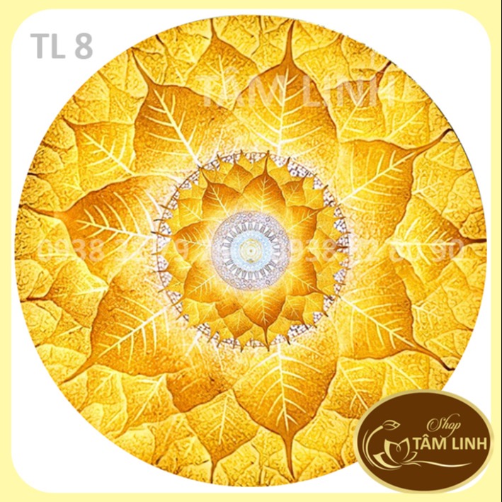 Hào Quang Phật _ Mẫu Trúc Chỉ Mẫu Đẹp