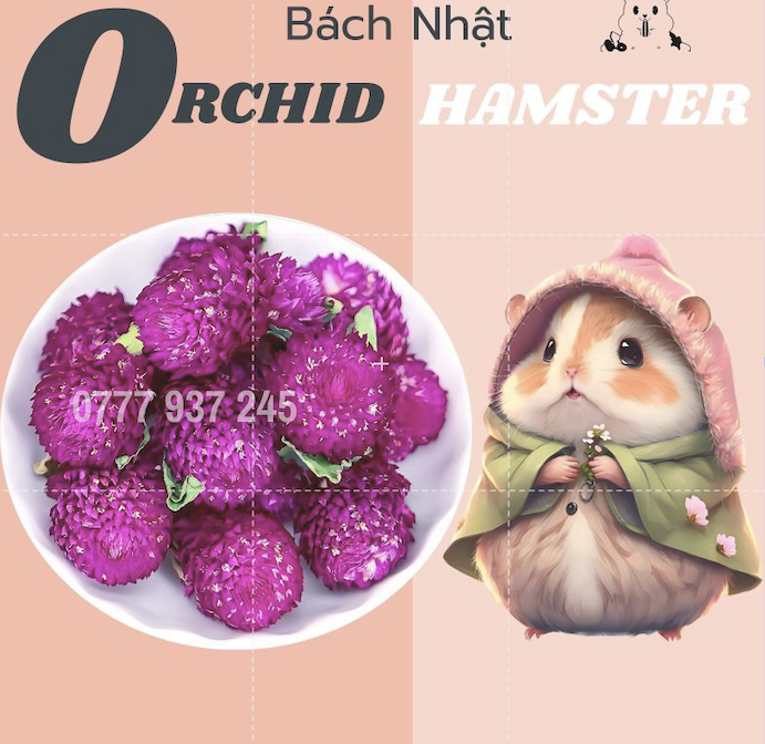 Hoa Giải Nhiệt Dành Cho Hamster