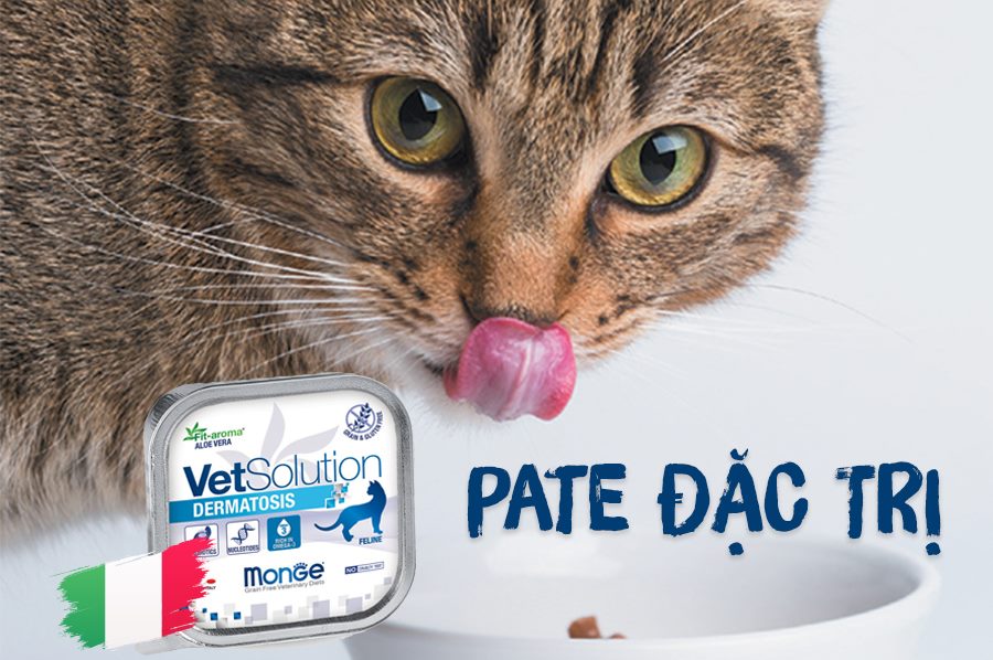 Pate MÈO Monge Vet Solution Chăm Sóc Sức Khỏe 100g