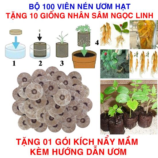 Bộ 100 viên nén ươm hạt (tặng 10 Hạt giống Sâm ngọc linh + Kích thích nẩy mầm, Hướng dẫn)
