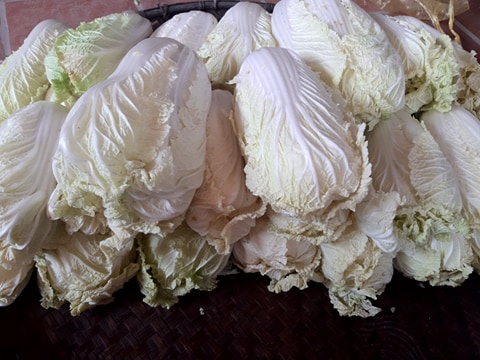 Kim chi Hàn Quốc -  1Kg - Chuẩn vị ngon - made by Jun auth