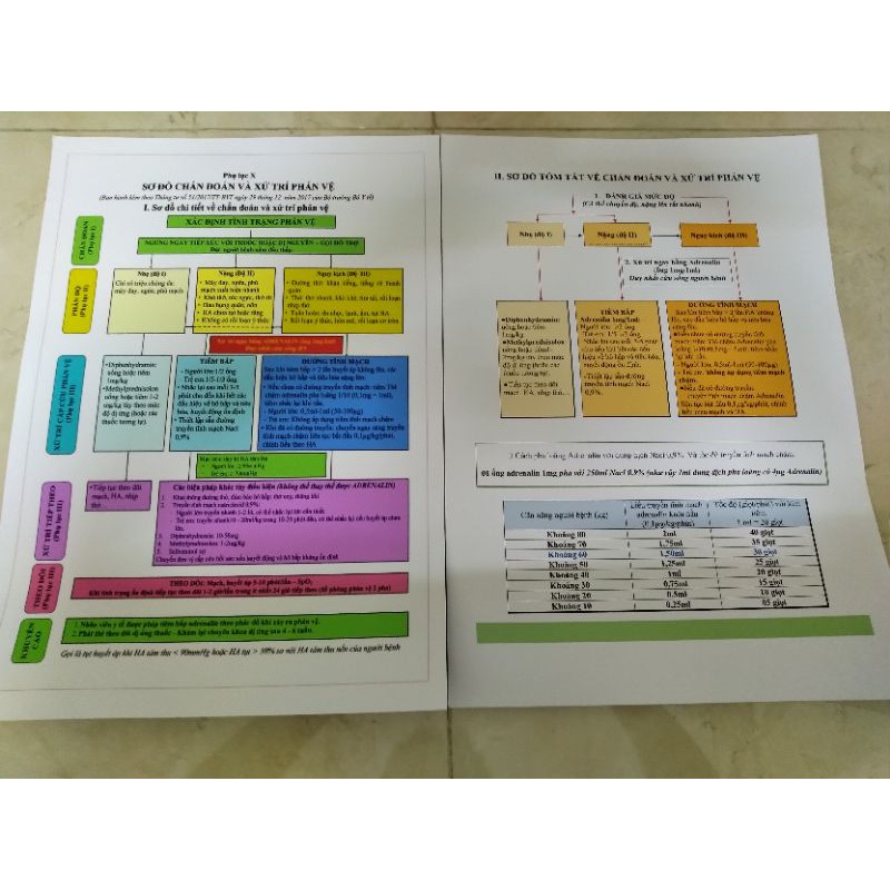 Phác Đồ Sơ Cứu Cấp Cứu - Chống Sốc Phản vệ (đủ 2 mặt A-B, bóc dán tường, 50x70cm )