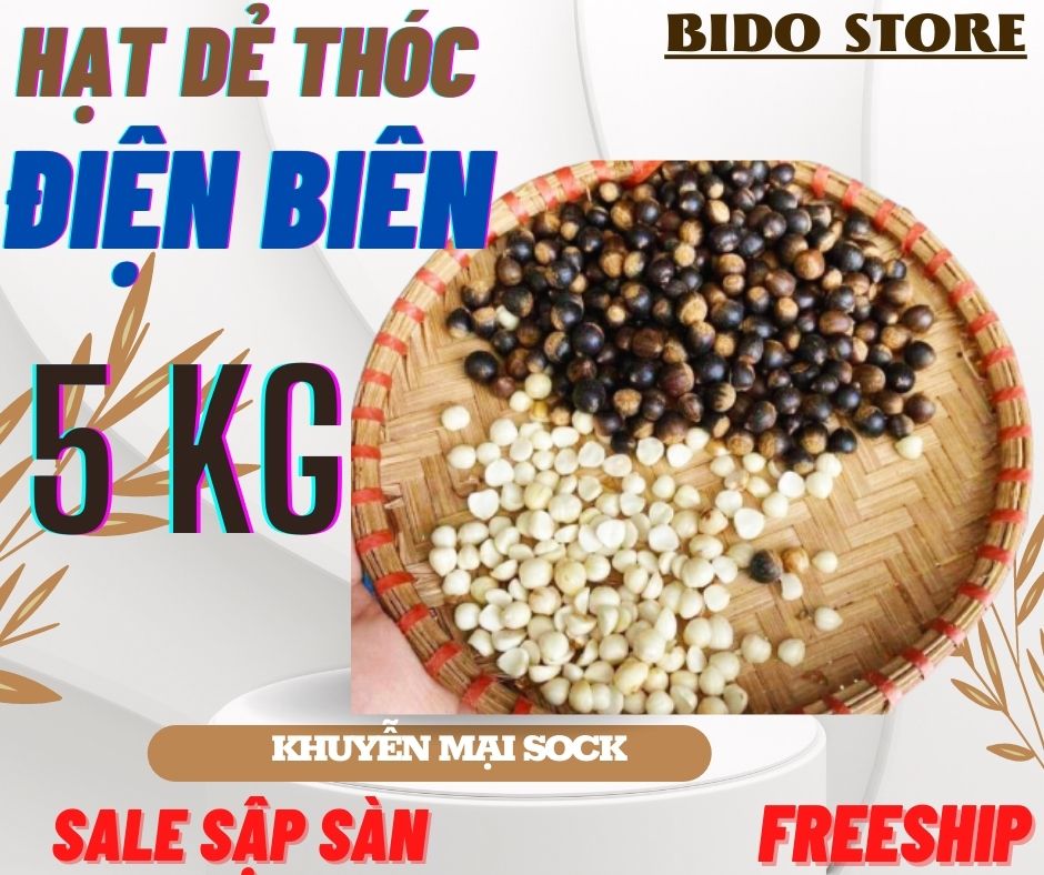 [SALE SẬP SÀN] Set 5 kg hạt dẻ thóc rừng Tây Bắc siêu ngon