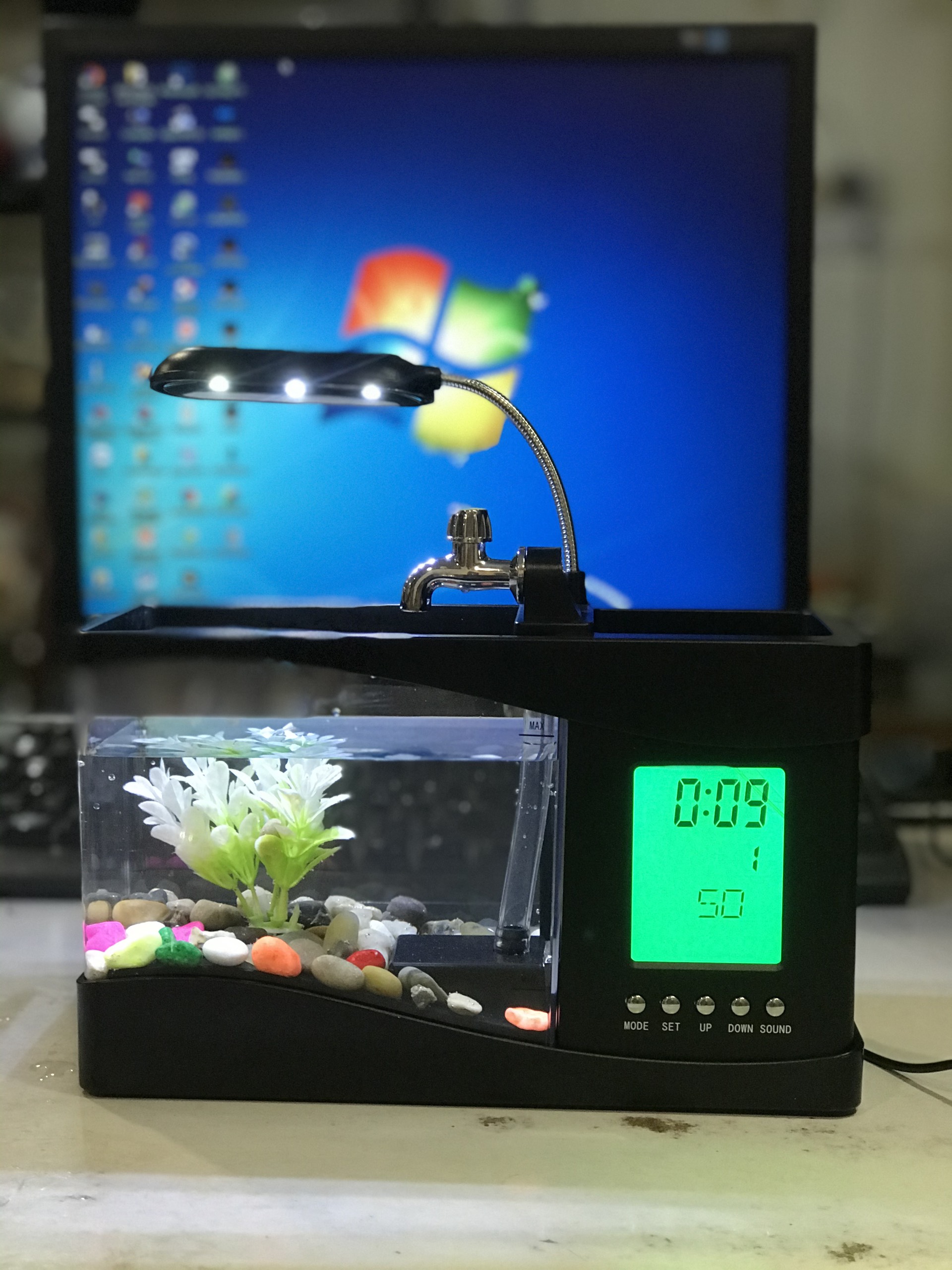 Bể Cá Mini Hồ Thuỷ Sinh Để Bàn [Đồng Hồ Đèn Bàn Sỏi Cây Trang Trí]