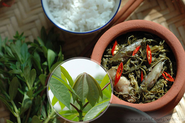 Rau sắn muối chua - Đặc sản Phú Thọ