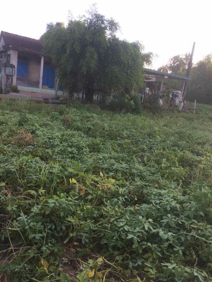 Đậu đỏ 1kg