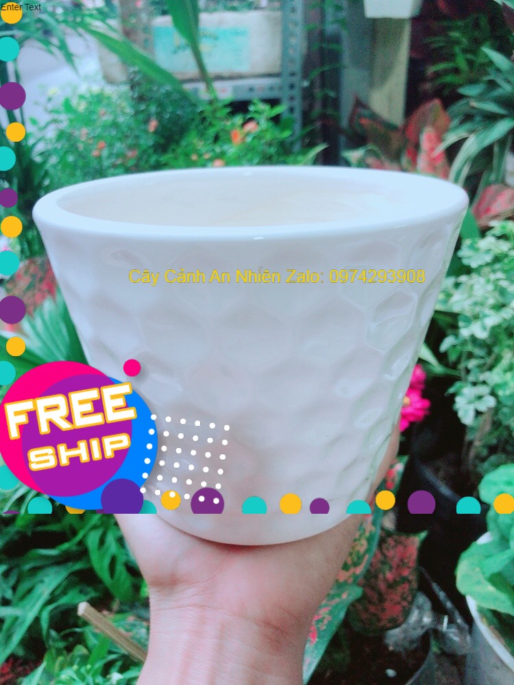 Chậu Trồng Cây