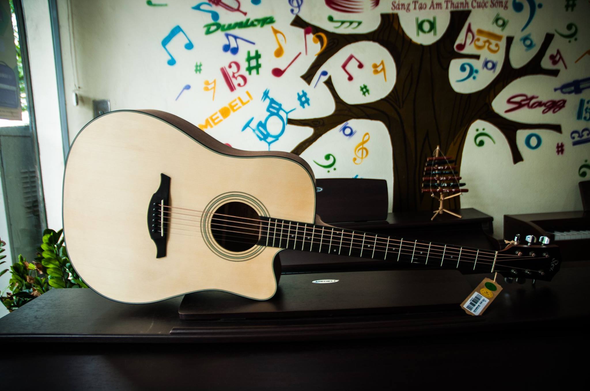 Đàn guitar acoustic Rex RA1C-NM Chính Hãng Singapore