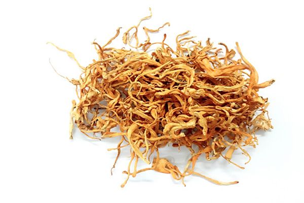 [HCM]Đông trùng hạ thảo sấy khô cao cấp 10g