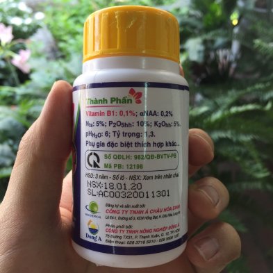 Dưỡng Hoa Lâu Tàn Super Root B1 100ml