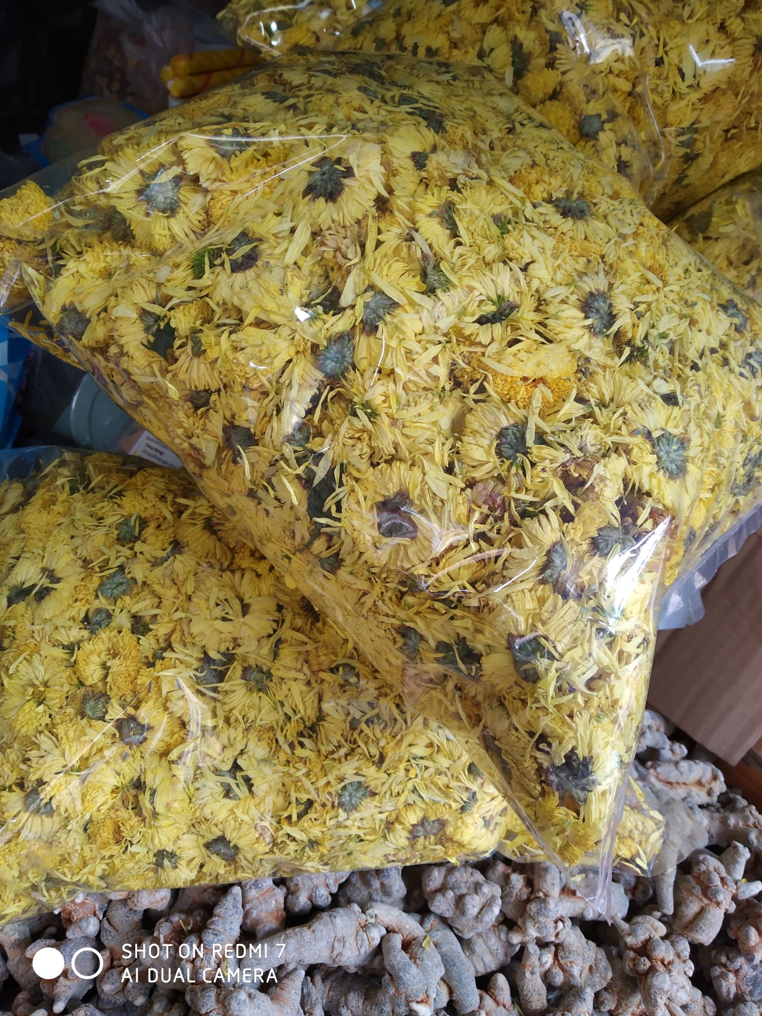 1kg trà hoa cúc vàng