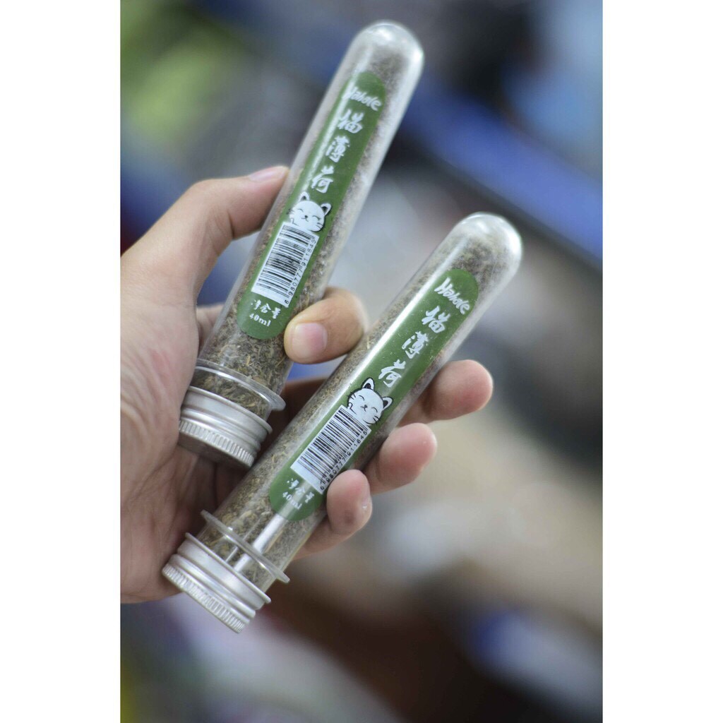 [HCM]Cỏ Bạc Hà Mèo Catnip Hahale - Ống 40ml