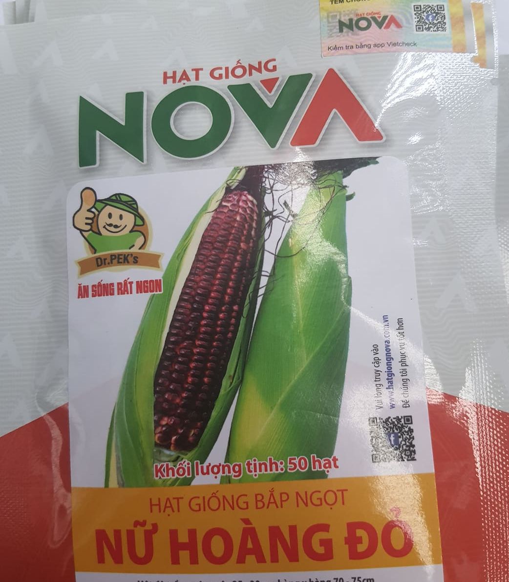 Hạt giống bắp ngọt nữ hoàng đỏ NOVA ( 1 gói 50 hạt )