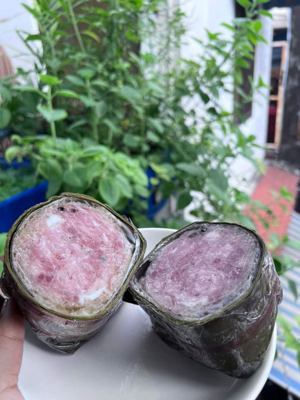 Jambon Gân 500g (Pate Gân) [GIAO HỎA TỐC HCM]