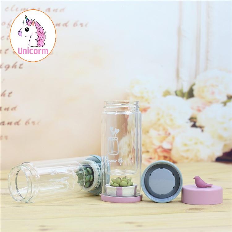 Bình trà thuỷ tinh 2 lớp - sen đá ( love again )