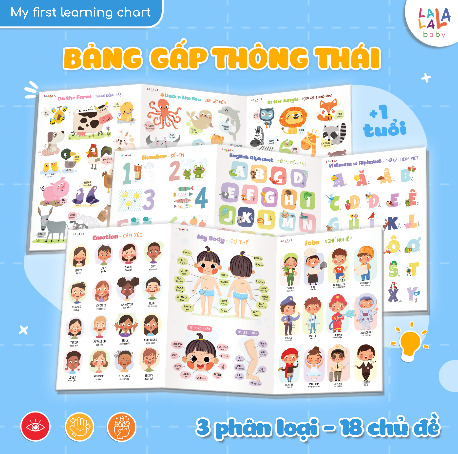 BẢNG GẤP THÔNG THÁI - MY FIRST LEARNING CHART