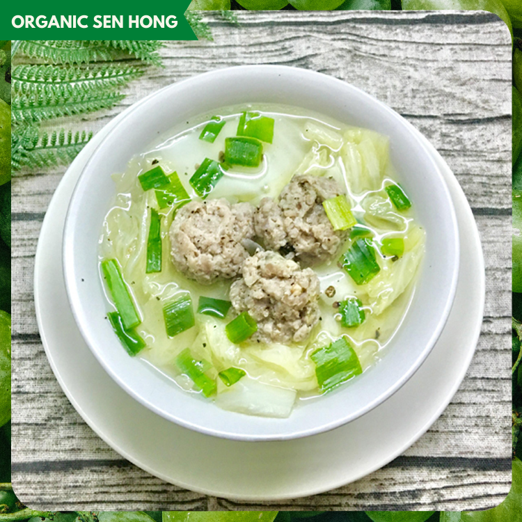 Cải thảo Sen Hồng (0,9-1,2kg)