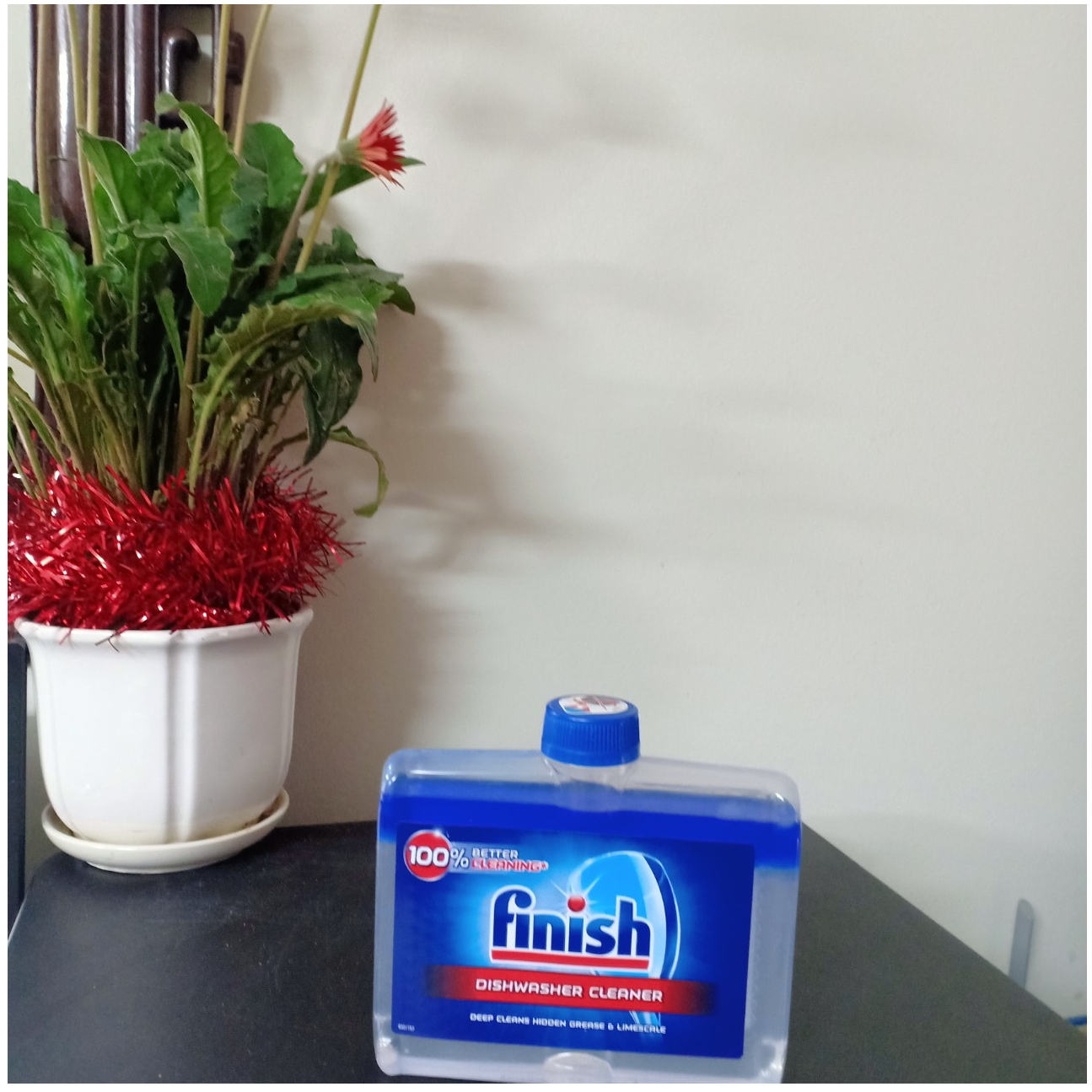 Dung dịch vệ sinh BẢO TRÌ máy rửa bát Finish chai 250ml