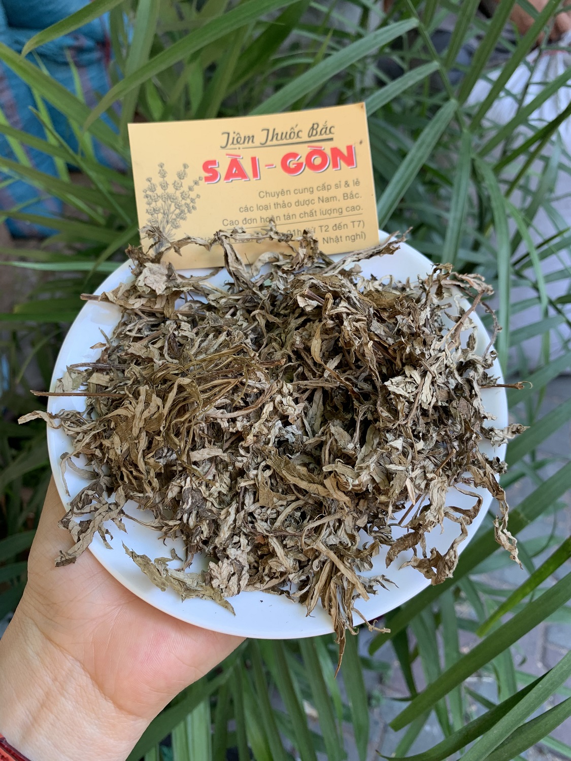 Lá Ngải Cứu Khô 100g