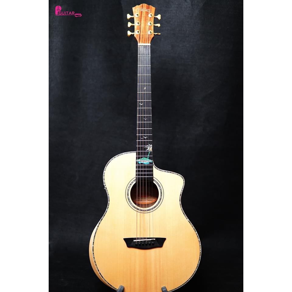 Đàn guitar acoustic washburn btsc56sce cao cấp có eq nhập khẩu mỹ