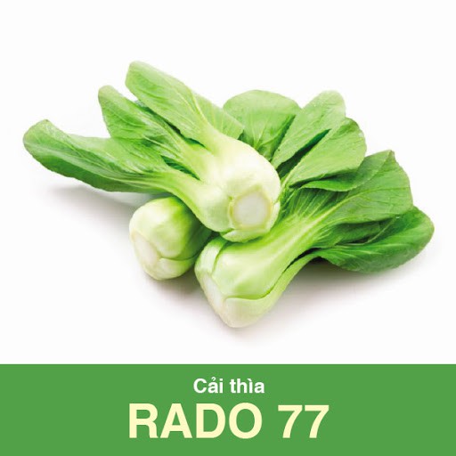 Hạt Giống Cải Thìa Rạng Đông 77