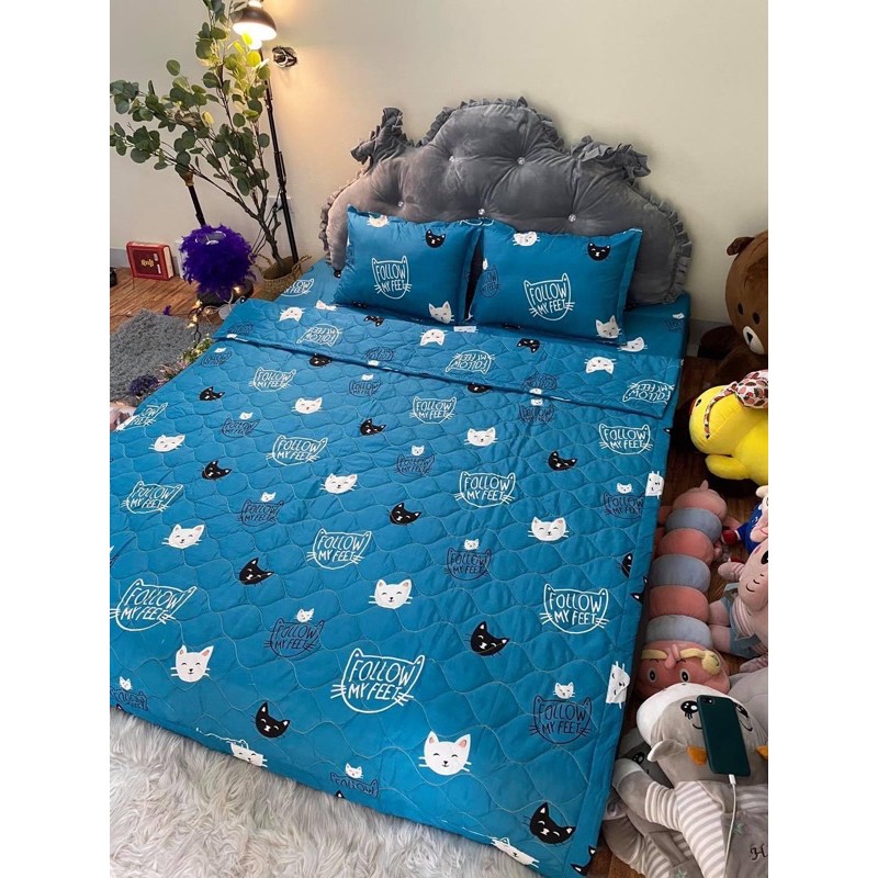 Trọn bộ chăn ga gối hè thu 5 món mèo xanh