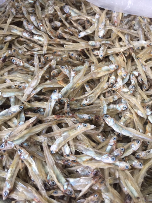 [ COMBO 2 GÓI 500 gram ] - CÁ CƠM KHÔ ĐÀ NẴNG