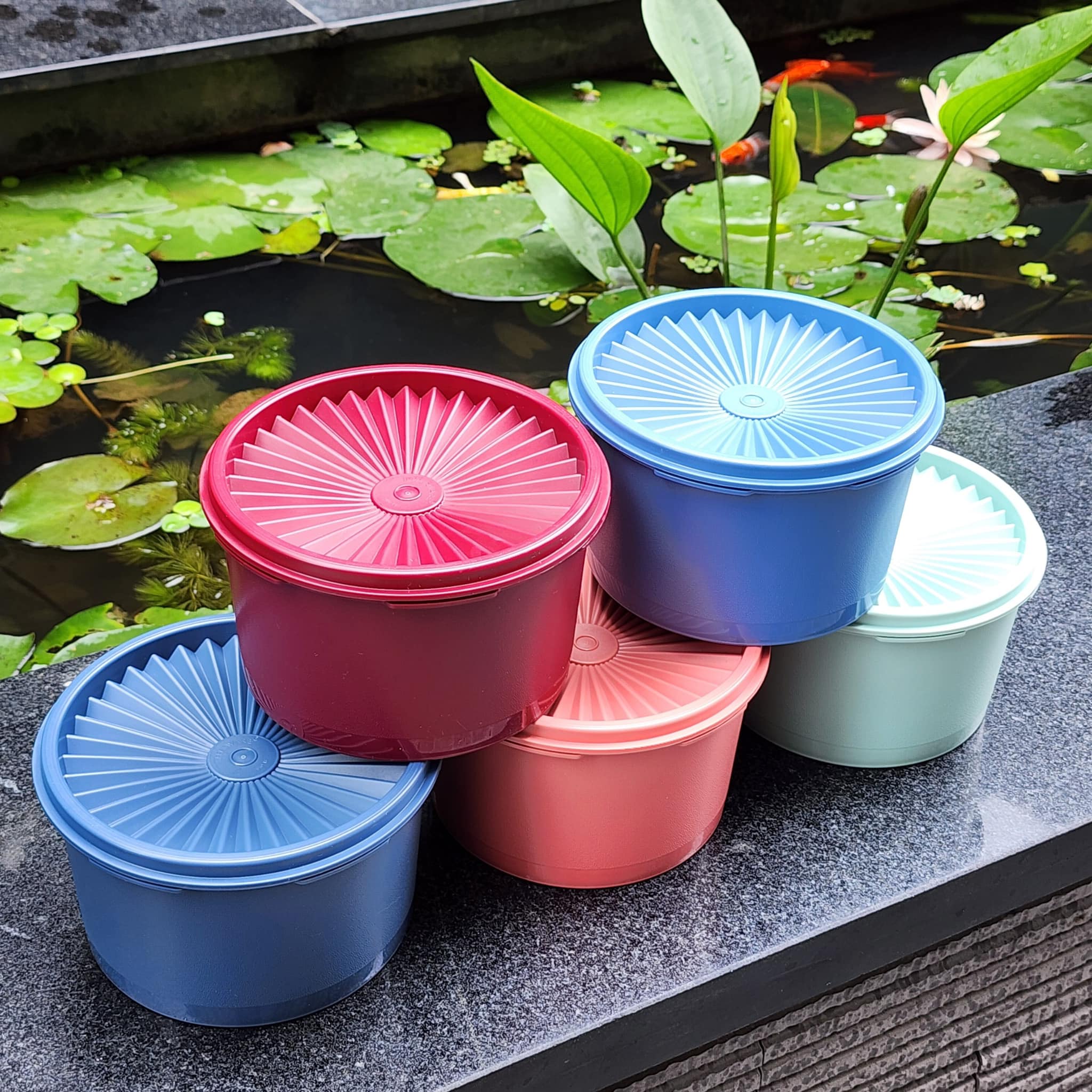Bộ hộp trữ mát/ khô midi tupp