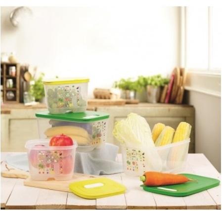 Bộ hộp trữ mát Vensmart 4 hộp Tupperware