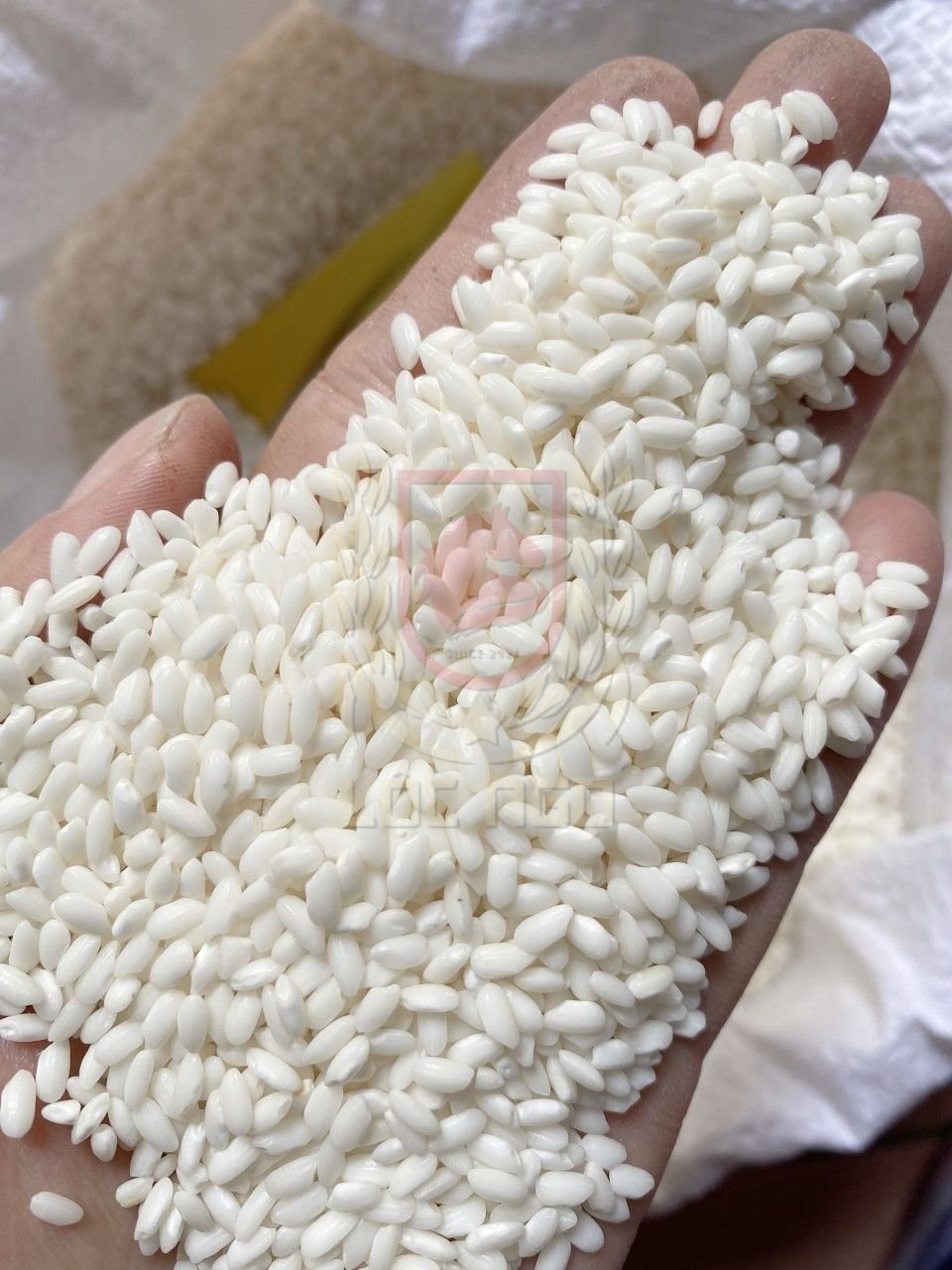 Gạo Nếp Bắc Túi 2Kg - Hạt Tròn Đều, Cơm Dẻo Mềm