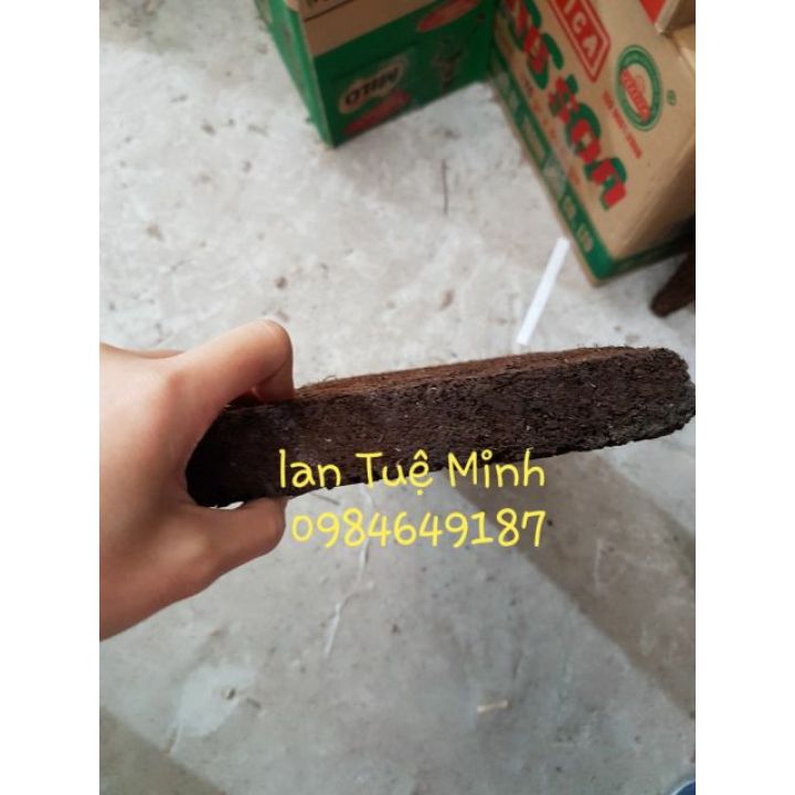 Bảng dớn trồng lan kích thước 20x20x3cm