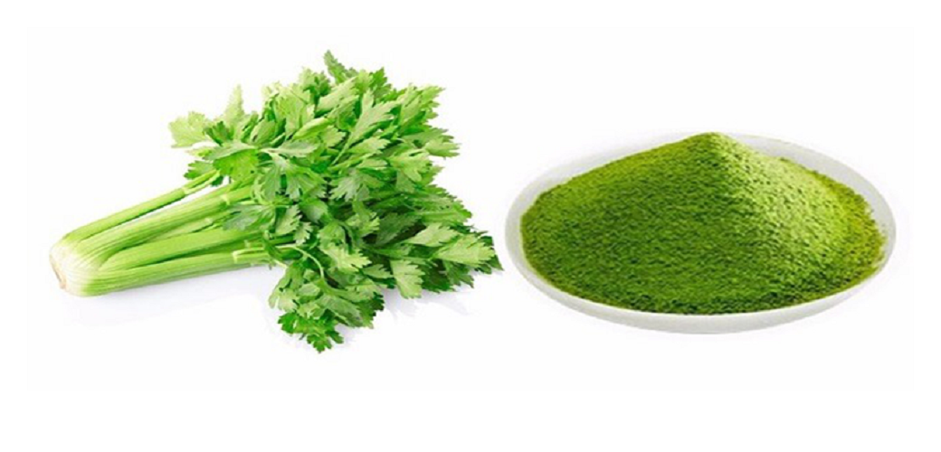 Bột Cần Tây Sấy Lạnh Nguyên Chất BIGS 500g