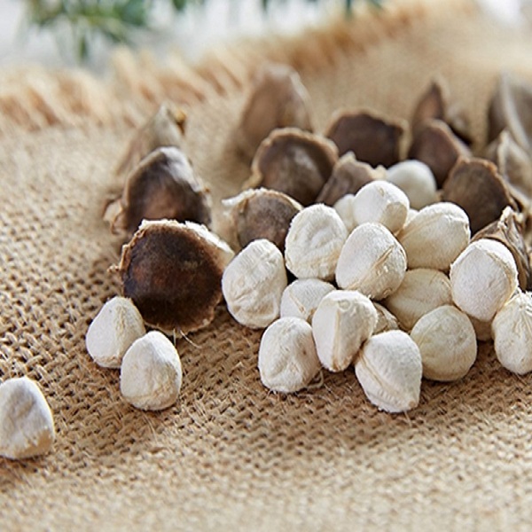 Hạt chùm ngây khô 100g - Thảo Dược Tấn Phát