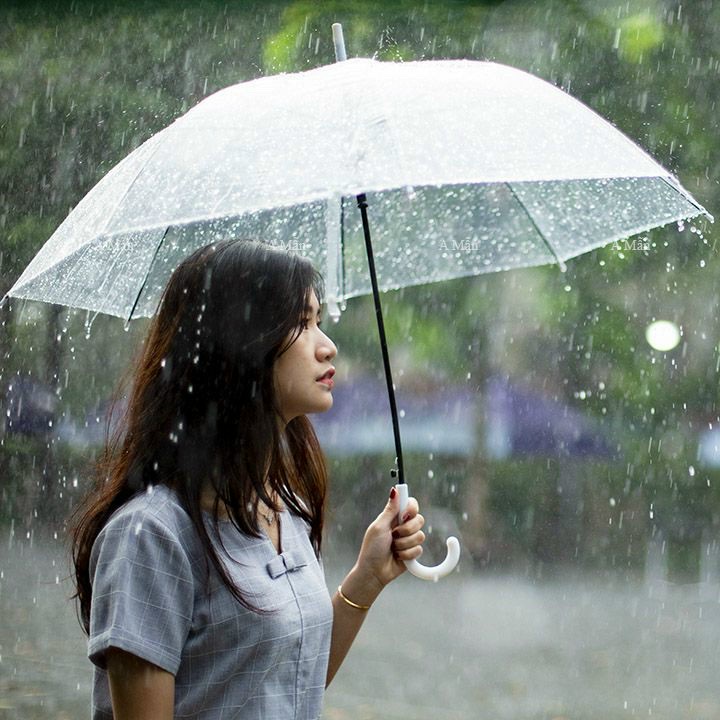 Ô (DÙ) TRONG SUỐT PHONG CÁCH HÀN QUỐC