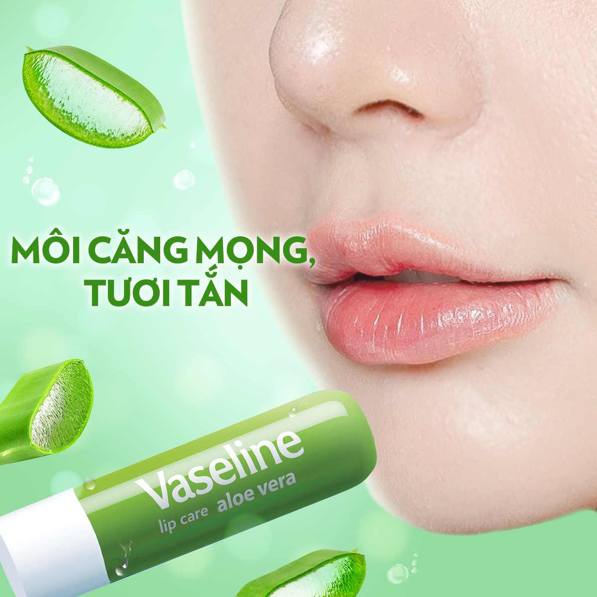 Son dưỡng môi Vaseline Lip Care Lô Hội dạng thỏi 4.8g