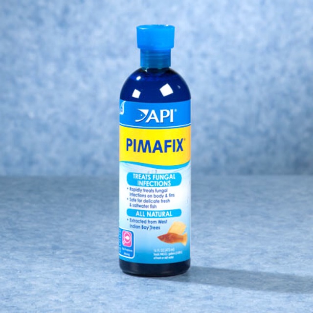 Dung Dịch Api Pimafix - Xữ Lý Nhiễm Nấm Ở Cá Cảnh (Hàng Công Ty)