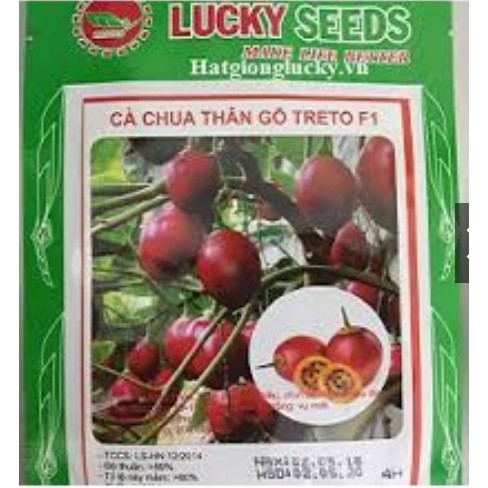 Hạt Giống Cà Chua Thân Gỗ Lucky Gói 4 Hạt