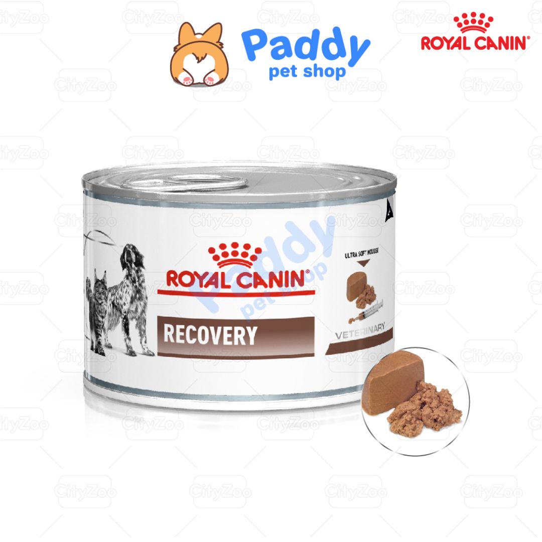 [Lon 195g] Pate Cho Chó Mèo Phục Hồi Sức Khỏe Royal Canin Recovery