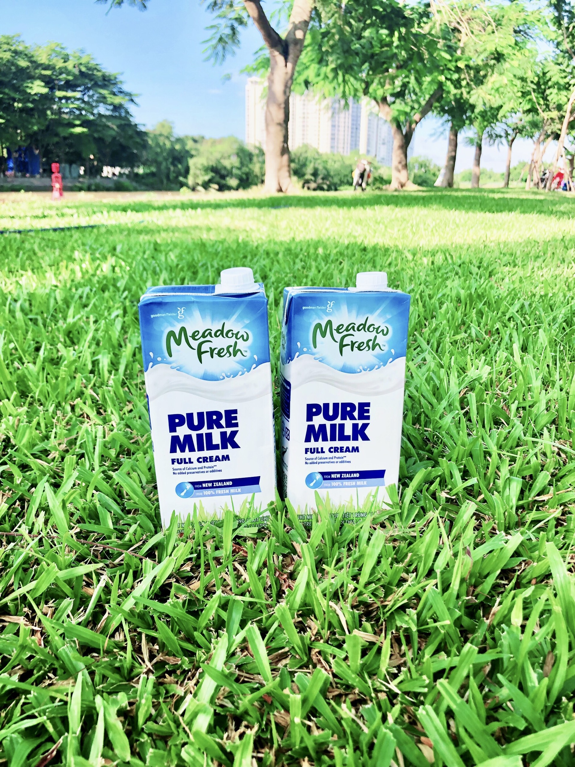 Sữa tươi Devondale/Australia's OWN /Meadow Fresh( thùng 12 hộp loại 1L)