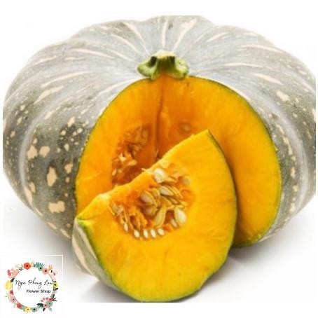 Giống bí đỏ tròn - gói 2 gram