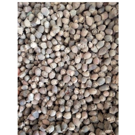 Quả sim rừng khô 1kg