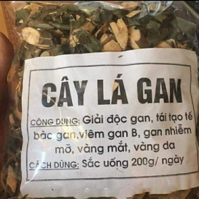 1kg cây lá gan cây mát gan
