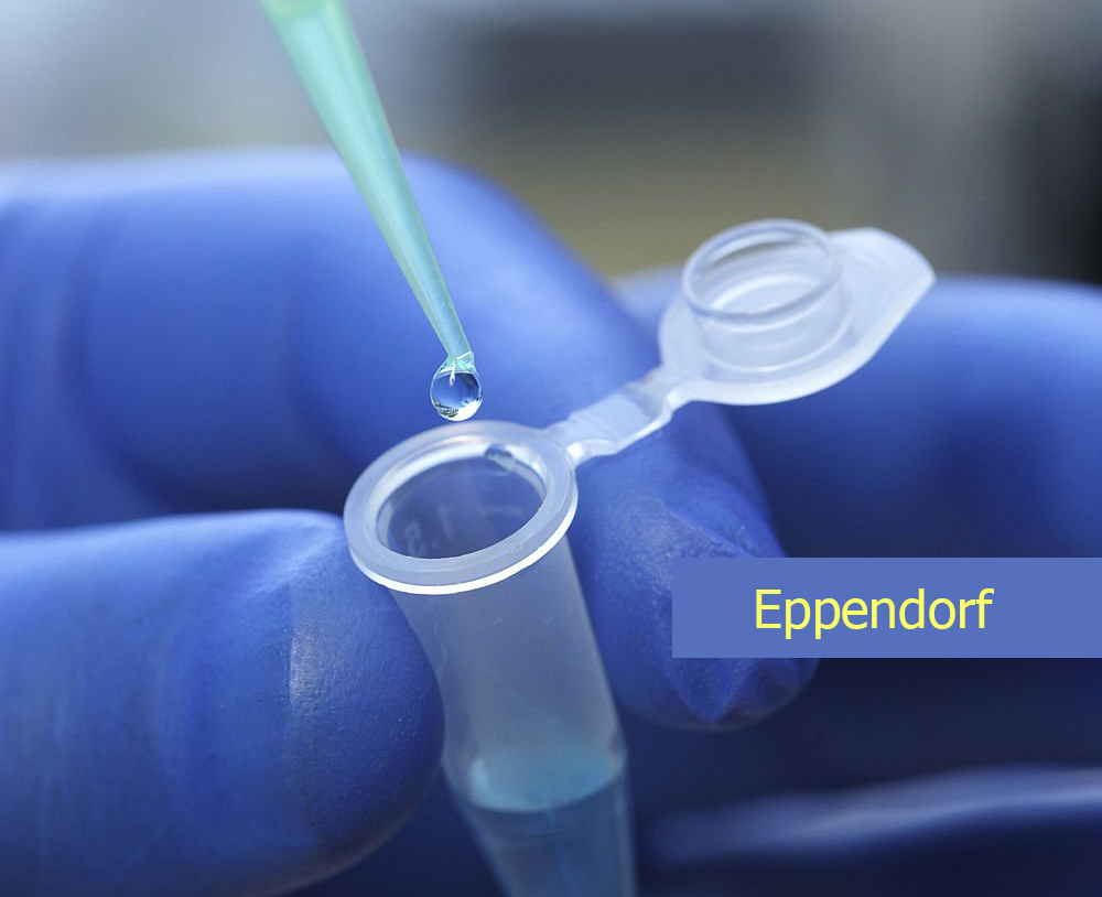 Ống Eppendorf - Ống ly tâm các cỡ 0.5ml, 1.5ml, 2ml