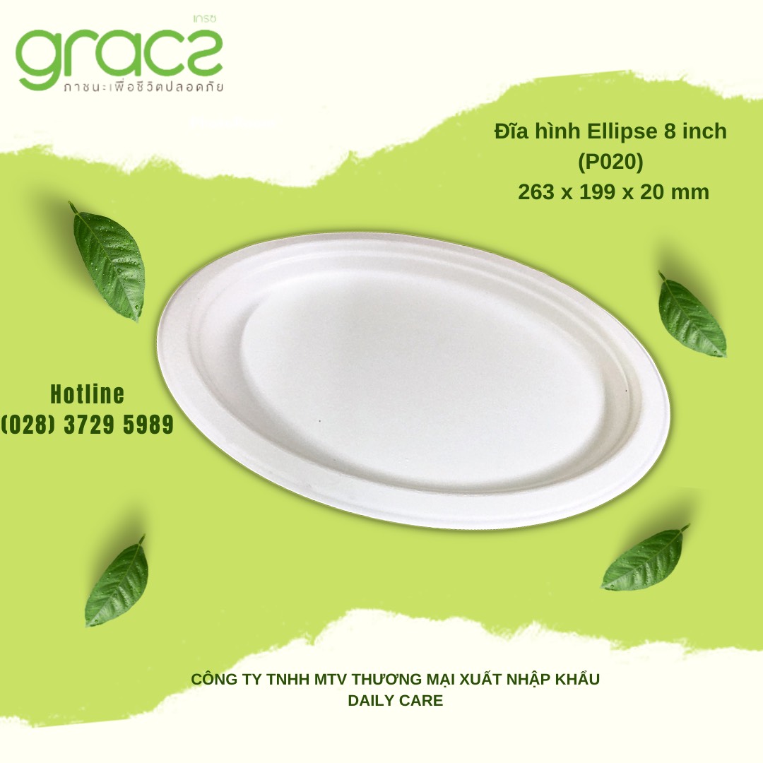 10 Đĩa bã mía Thái Lan hình Ellipse 8 inch