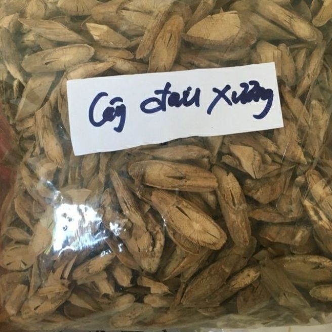 Sỉ toàn quốc 3kg cây đau xương